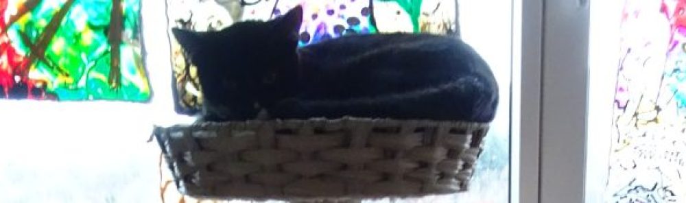 Wer wahrnimmt erfährt seine Wahrheit