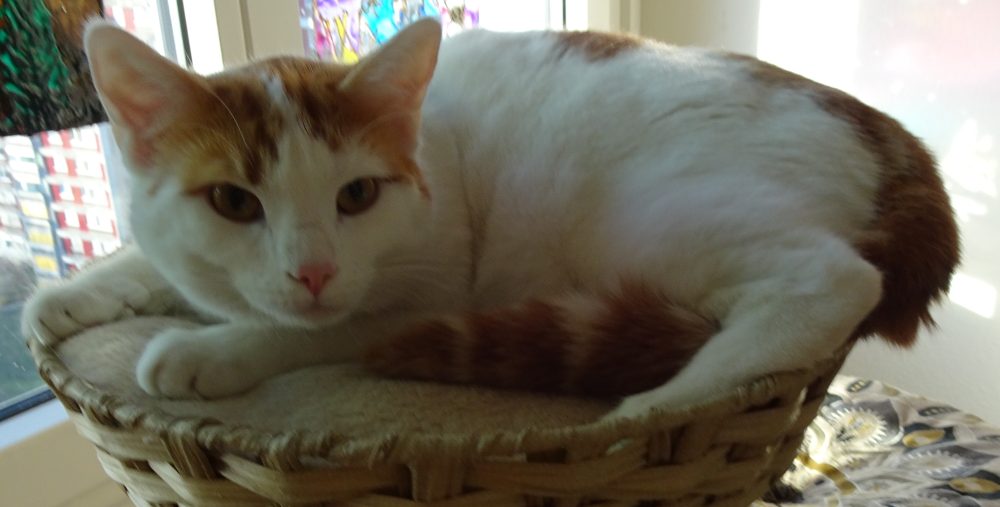 Wer wahrnimmt erfährt seine Wahrheit